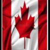 CANADA CCV WITH CREDIT HIGH LEVEL FRESHLY SNIFFED